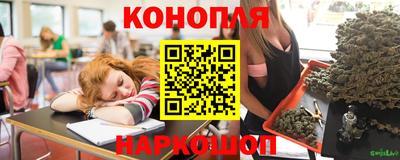 дмт Обь