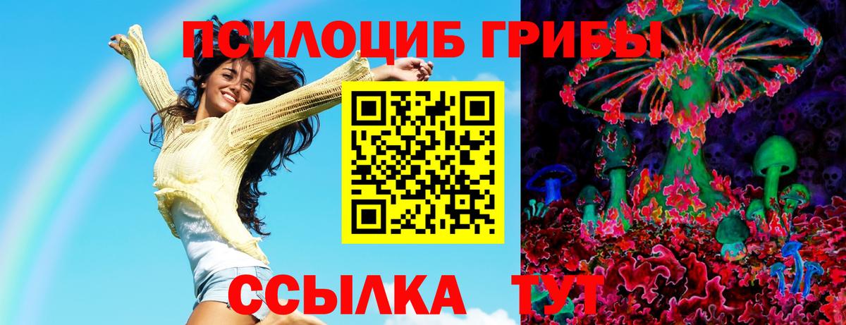 Осинники  Галлюциногенные грибы MAGIC MUSHROOMS  Вход с VPN 