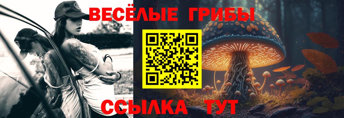 Псилоцибиновые грибы прущие грибы Осинники
